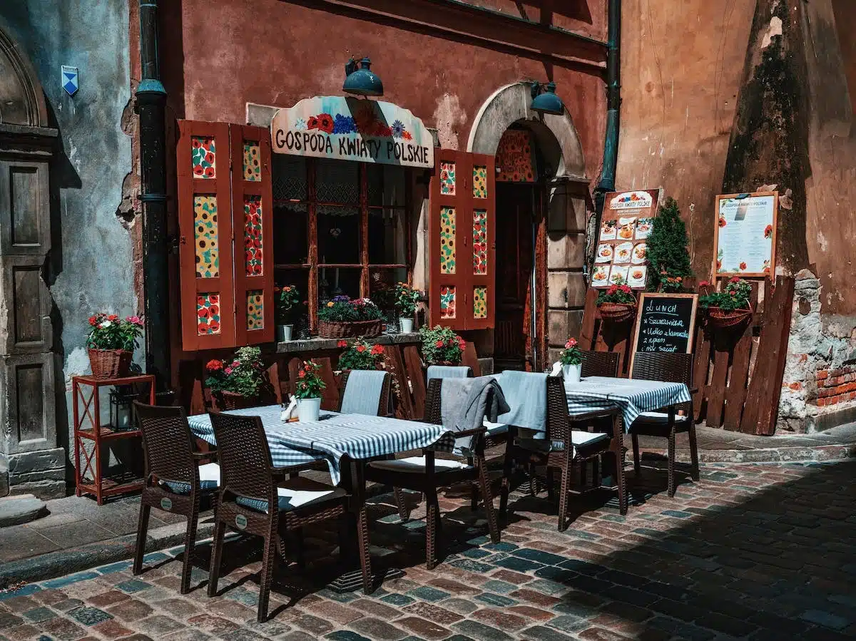cuisine  novices