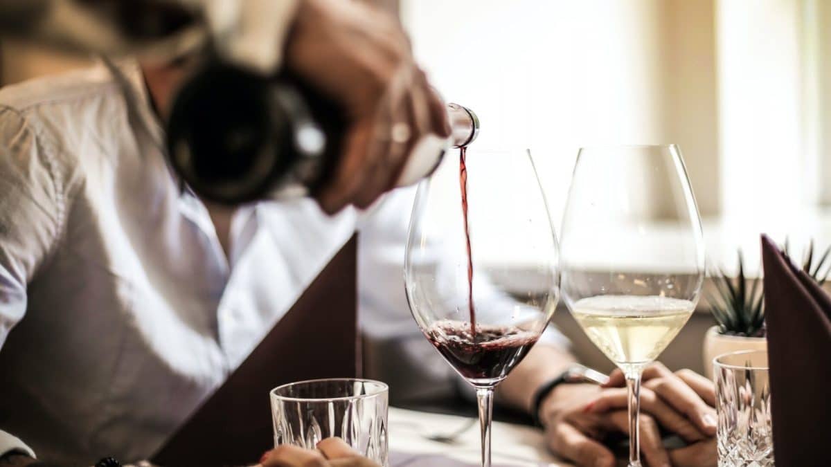 Comment choisir le vin parfait pour votre prochaine soirée conseils et recommandations