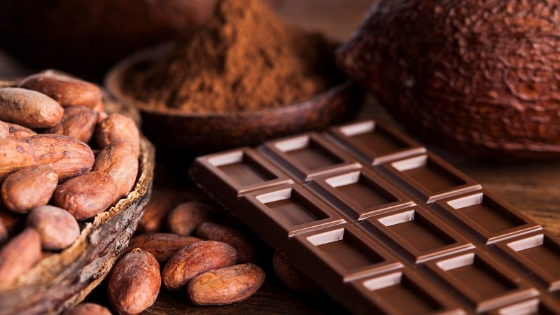 Pourquoi choisir ce chocolatier ?