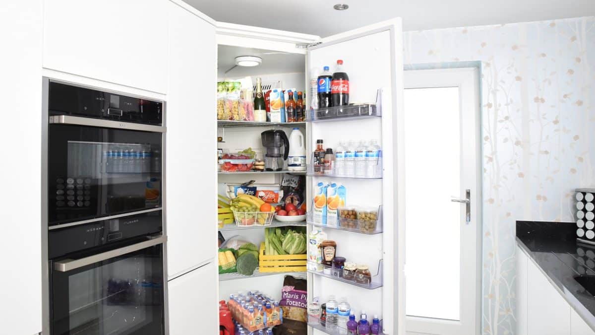 Conseils pratiques pour des aliments bien conservés
